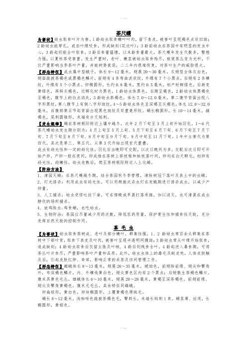 《茶树病虫害》word版