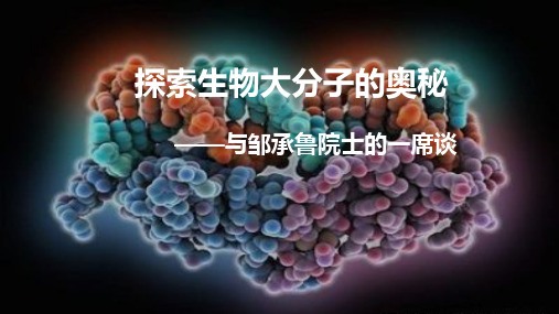 【课件】人教版生物高一上必修一《探索生物大分子的奥秘 》