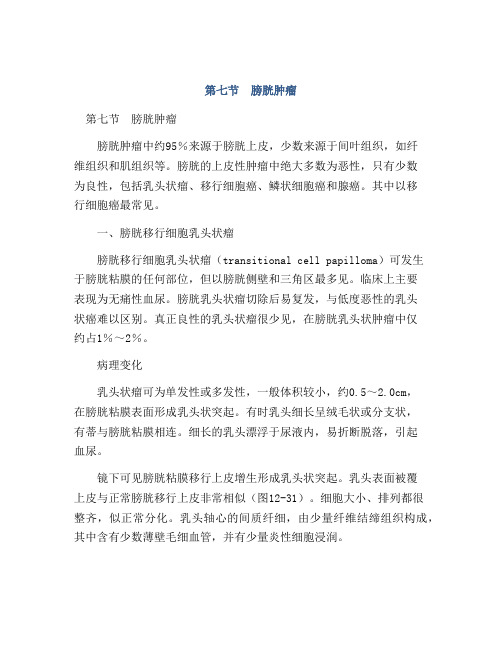 第七节 膀胱肿瘤