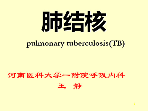 肺结核pulmonarytubercul-PPT课件