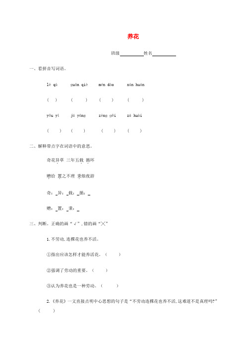六年级语文下册养花一课一练语文A版