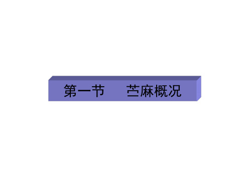 苎麻栽培概述