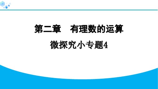 2024年七年级数学上册第二章有理数的运算复习题及答案解析微探究小专题4