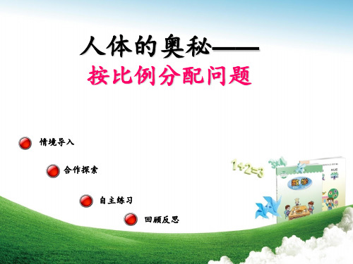按比例分配问题PPT课件