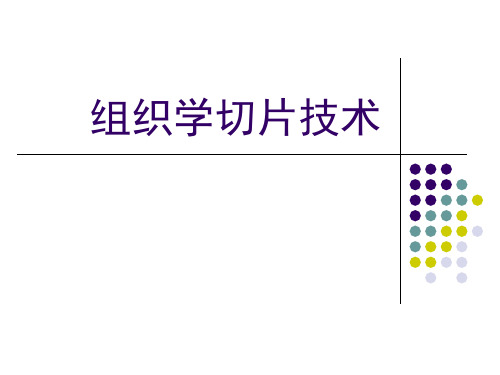 组织切片技术..