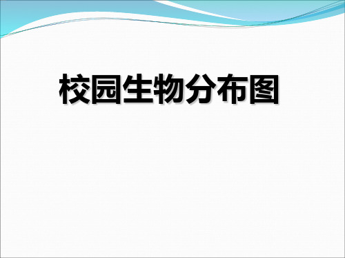 《校园生物分布图》生物的多样性PPT(上课用)
