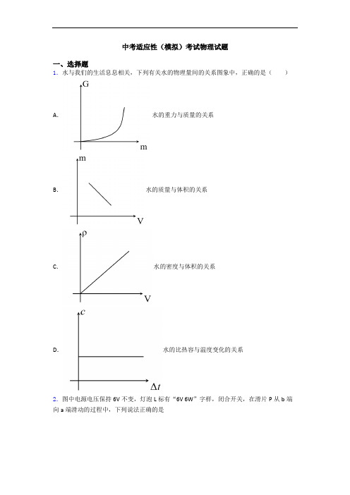 中考适应性(模拟)考试物理试题