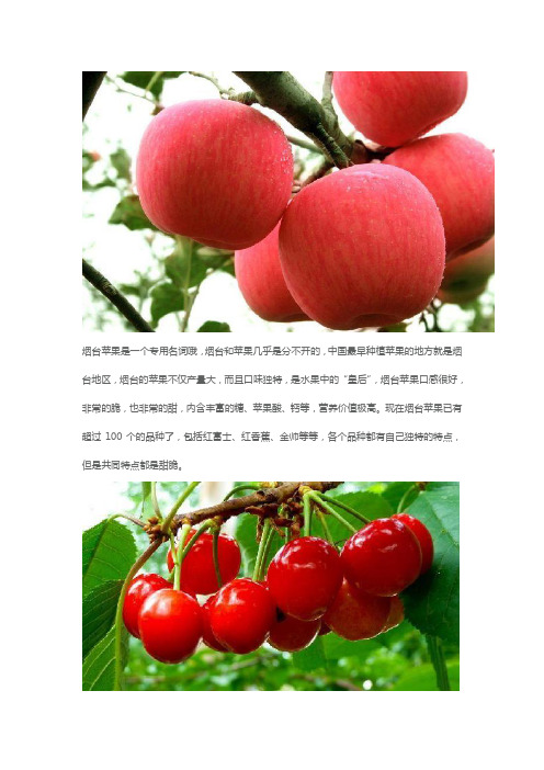 烟台特产