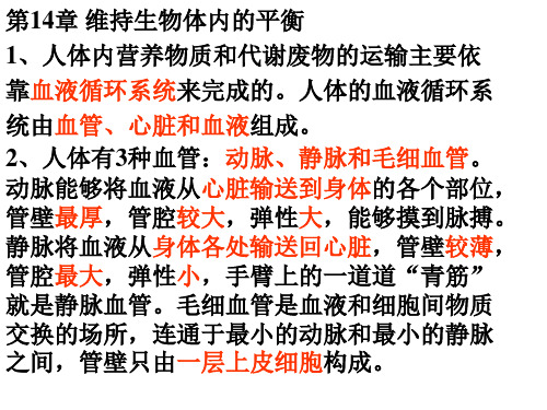 苏科版生物八上复习课件