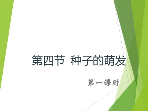 第四单元第一章第四节种子的萌发  课件  2021-2022学年济南版生物八年级上册