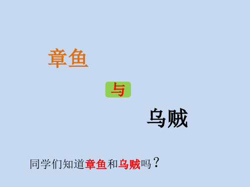 章鱼和乌贼
