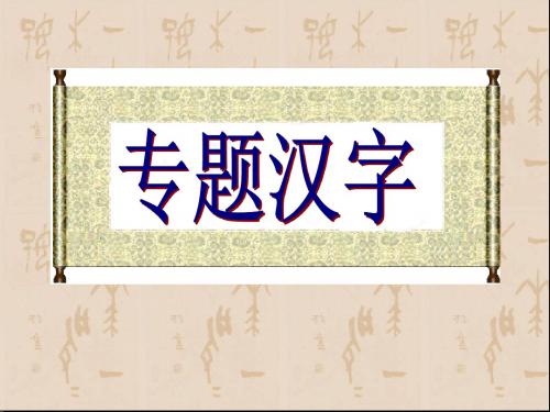 苏教版语文八上专题《汉字专题》