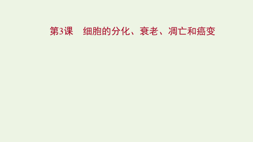 高考生物一轮复习第四单元细胞的生命历程第3课细胞的分化衰老凋亡和癌变课件苏教版