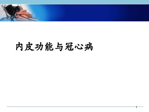 内皮功能PPT精选课件