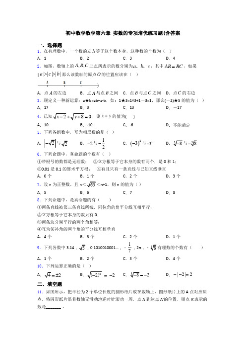 初中数学数学第六章 实数的专项培优练习题(含答案