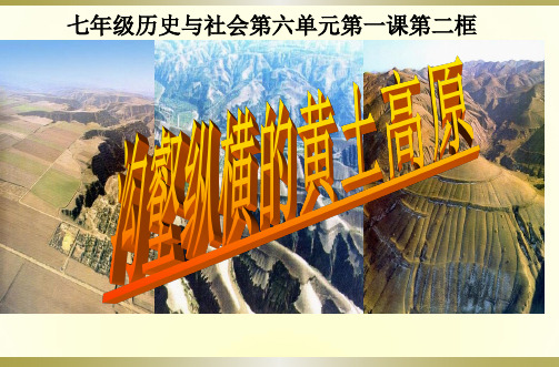 人教版七年级下册历史与社会：第一课 北方地区