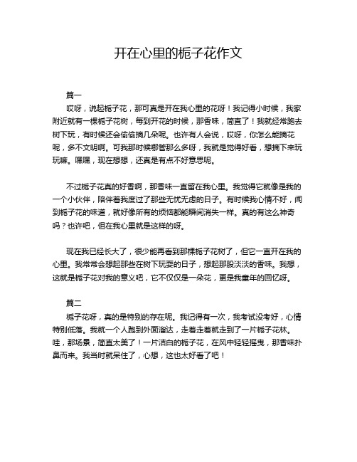 开在心里的栀子花作文