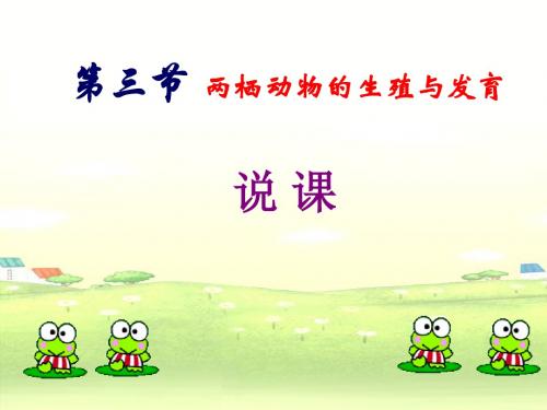 八年级生物下册 第七单元 第一章 第3节 两栖动物的生殖和发育说课课件 新人教版