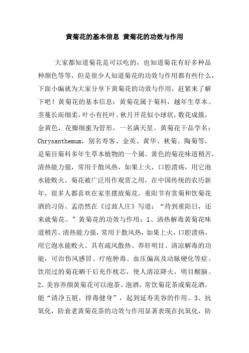 黄菊花的基本信息 黄菊花的功效与作用_0