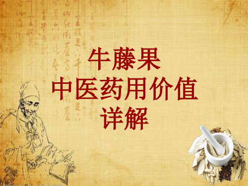 中药学_牛藤果_药材详解课件模板