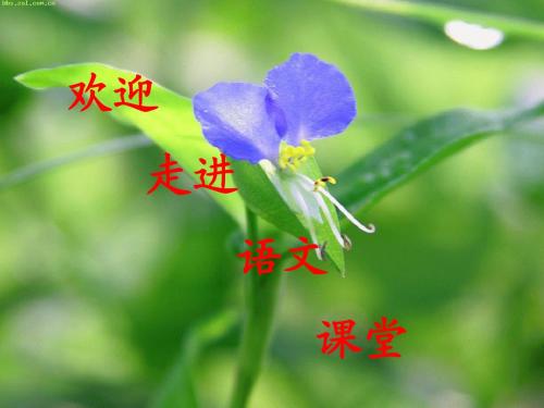 本命年的回想1