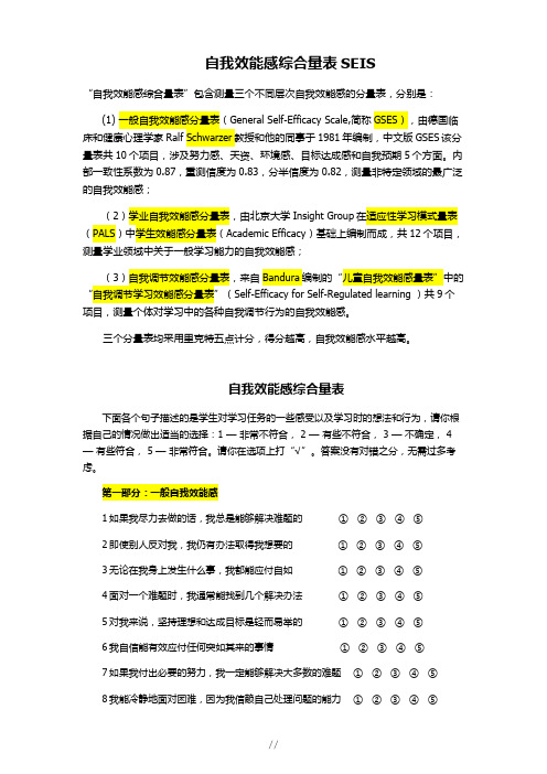 自我效能感综合量表SEIS