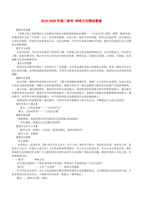 2019-2020年高二政治 体味文化精品教案