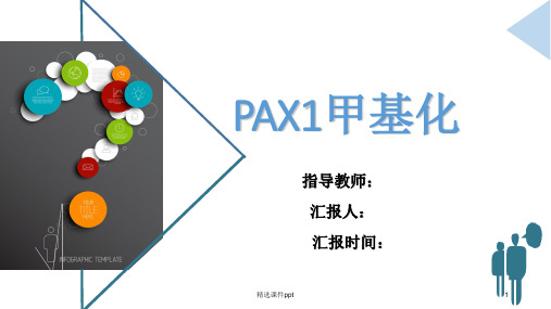 PAX甲基化ppt课件