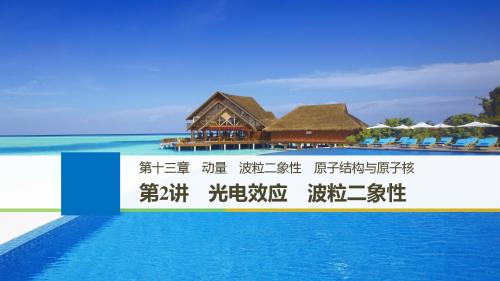 2019年高考物理大一轮复习课件：第十三章动量波粒二象性原子结构与原子核第2讲