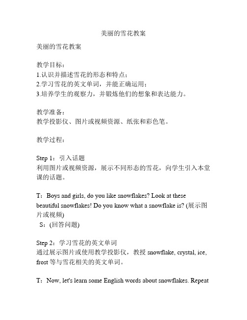 美丽的雪花教案