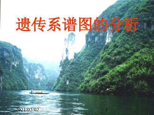 遗传与进化优质课件PPT
