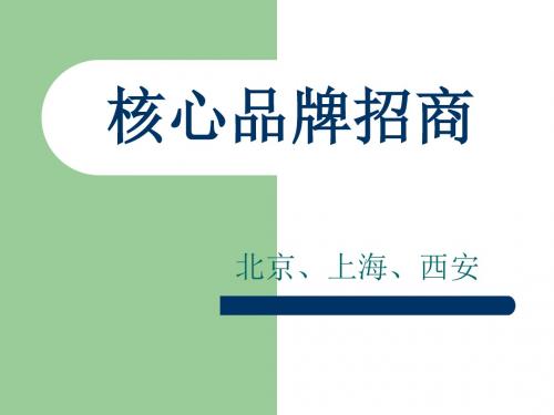 招商进展汇报及考察汇报ppt