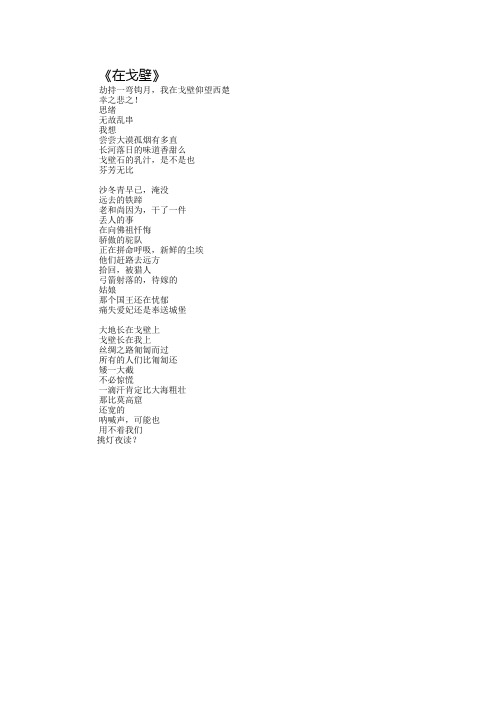 在戈壁