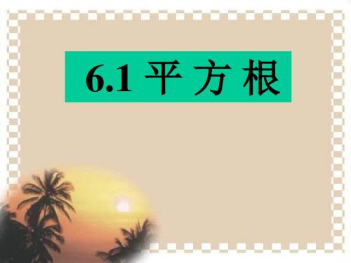 《平方根》实数PPT课件7