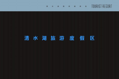 清水湖开发项目