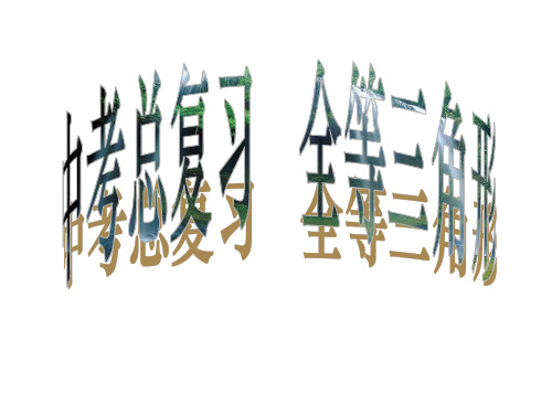 人教版八年级数学上册 第十二章 全等三角形 中考复习课件(共20张PPT)