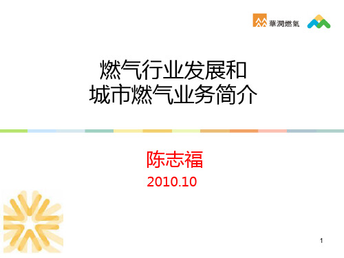 燃气行业介绍PPT课件