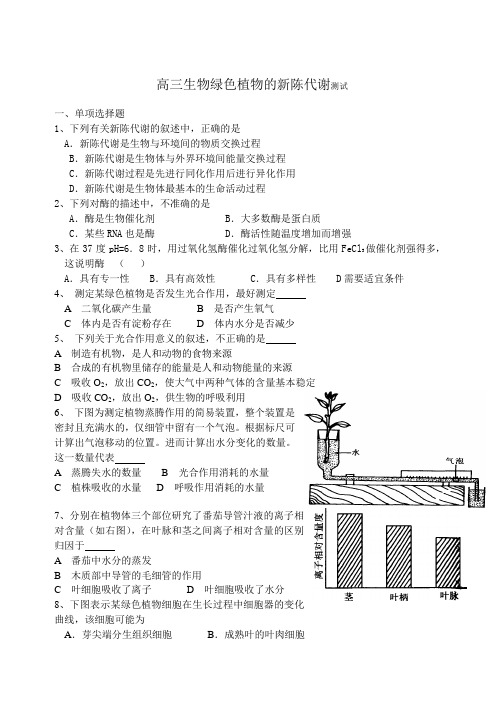 高三生物绿色植物的新陈代谢测试