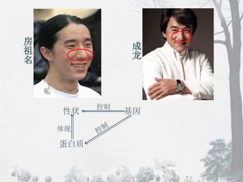 生物《遗传信息的表达》课件