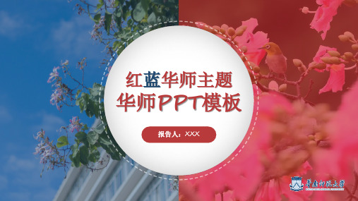 红蓝华师主题模板