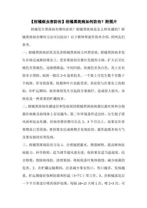 【柑橘病虫害防治】柑橘黑斑病如何防治？附图片
