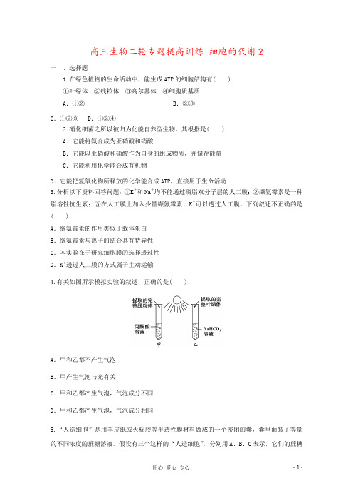 高三生物二轮专题提高训练 细胞的代谢2