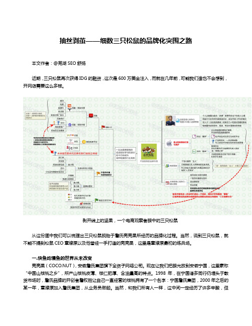 抽丝剥茧：细数三只松鼠的品牌化突围之路