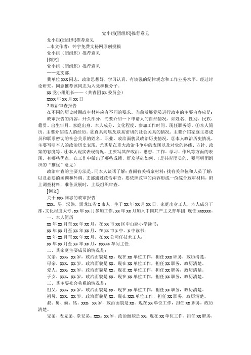 2020年党小组(团组织)推荐意见