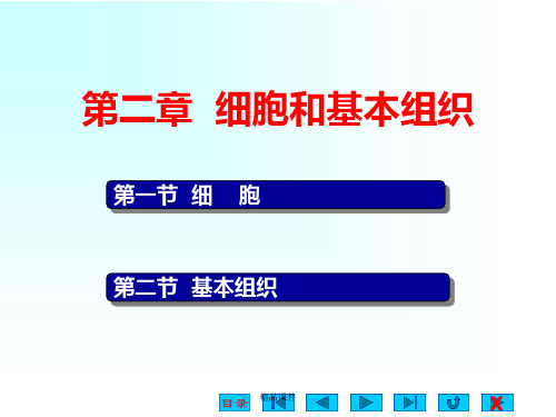 第2章 细胞和基本组织