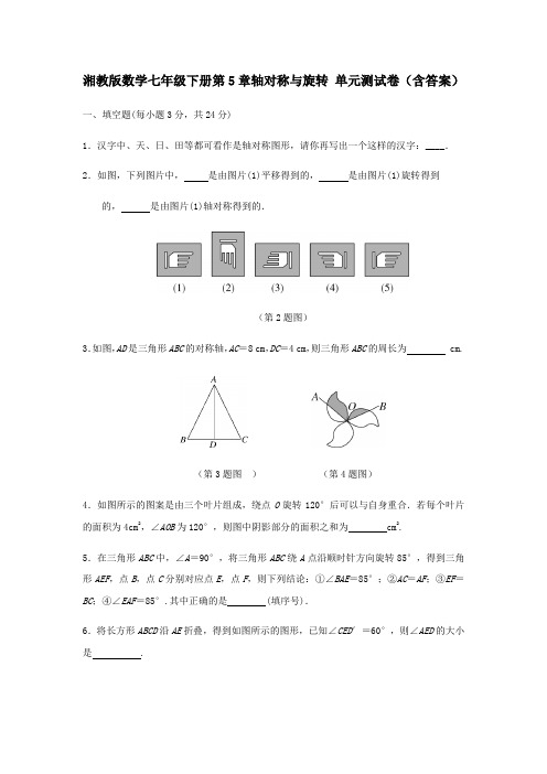  湘教版数学七年级下册第5章轴对称与旋转 单元测试卷(附答案)