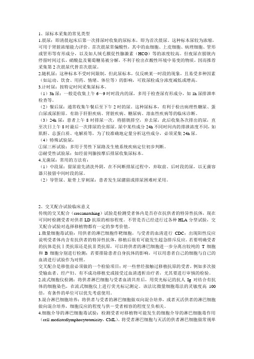 临床检验基础