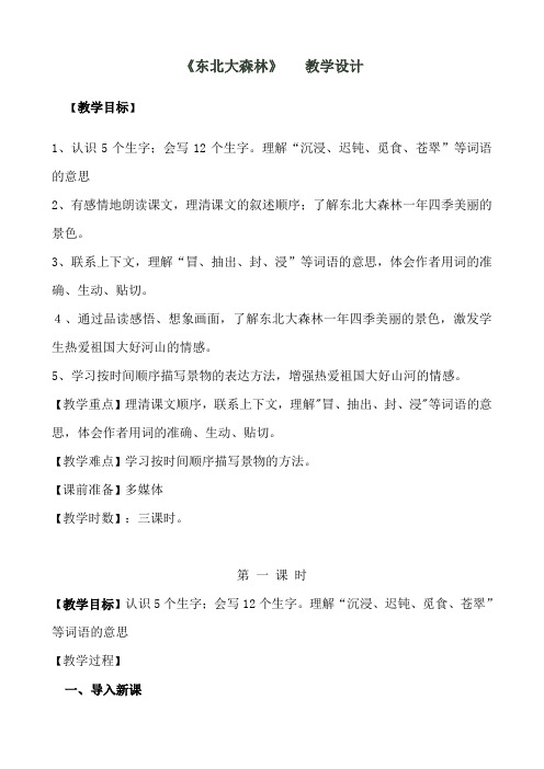 17《东北大森林》