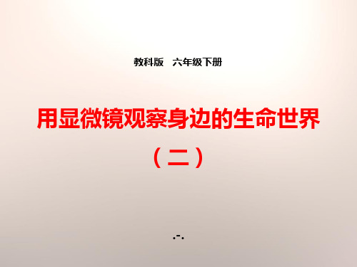 2用显微镜观察身边的生命世界(二)PPT课件