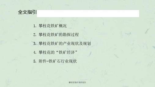 攀枝花铁矿调研报告课件